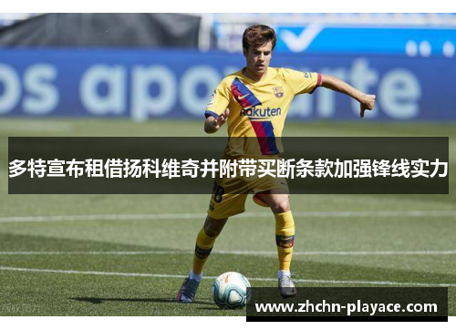 多特宣布租借扬科维奇并附带买断条款加强锋线实力