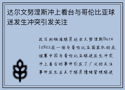 达尔文努涅斯冲上看台与哥伦比亚球迷发生冲突引发关注 达尔文努涅斯冲上看台与哥伦比亚球迷发生冲突引发关注